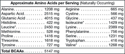 CHOCOLATE WHEY PROTEIN